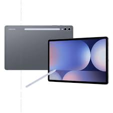 Samsung Galaxy Tab S10+. Gray tablet and screen protector on a white background