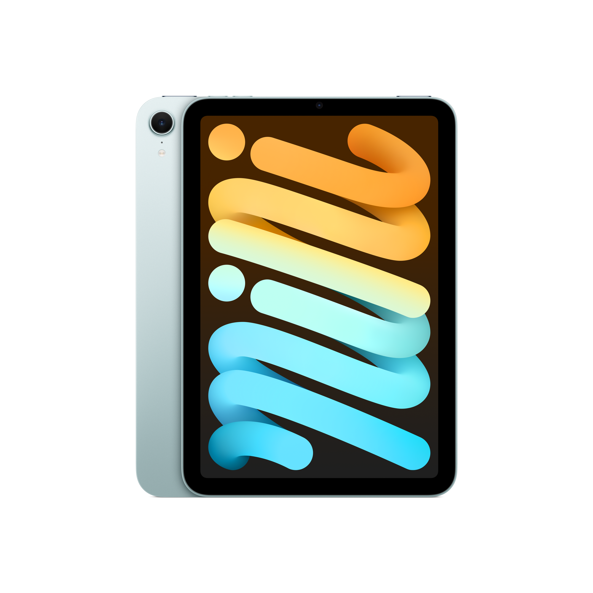 iPad mini Blue