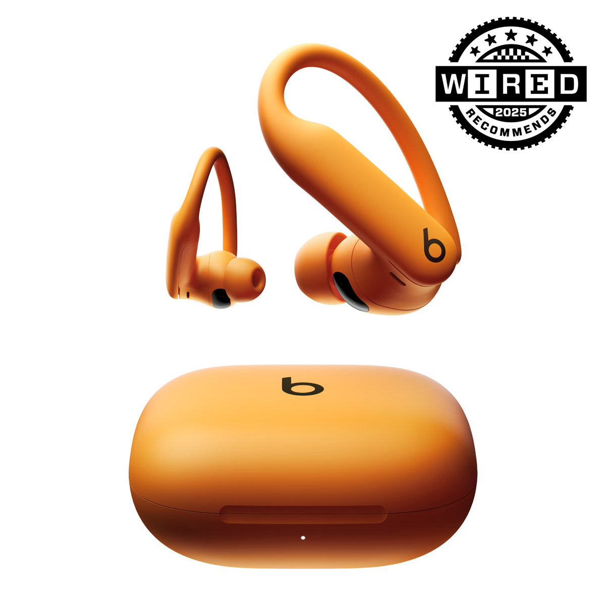 Beats Powerbeats Pro 2 Wireless ANC Earbuds – Heart Rate Monitoring & Secure-Fit for Athletes